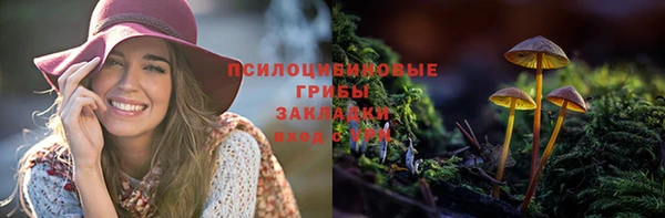 MESCALINE Алзамай