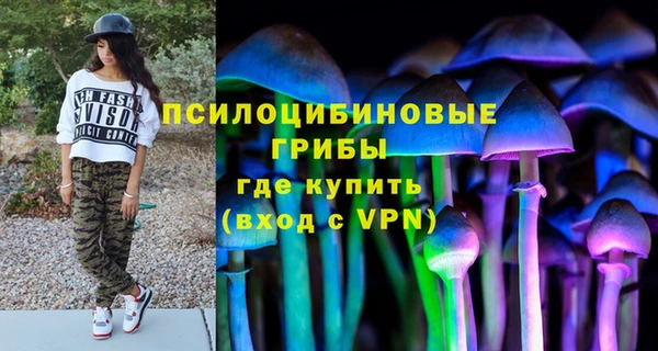 мет Протвино