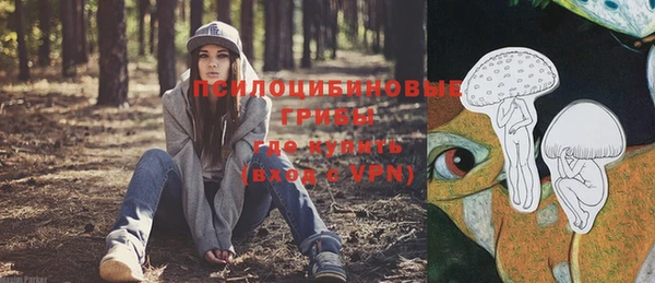 мет Протвино