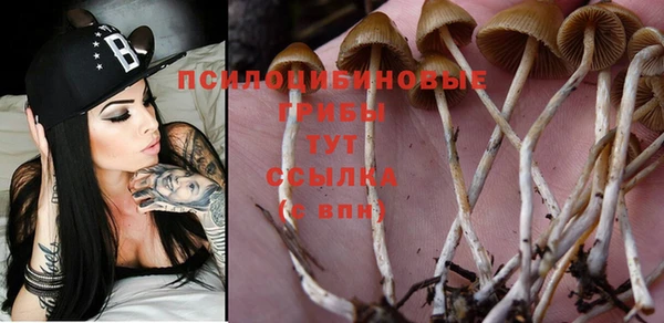 мяу мяу кристалл Абдулино