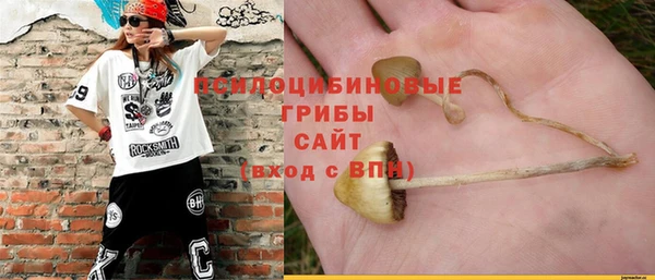 PSILOCYBIN Алексеевка
