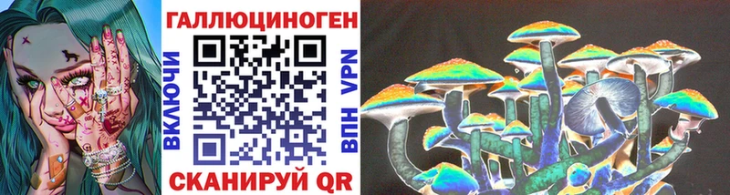 нарко площадка Telegram где можно купить Грязи Галлюциногенные грибы GOLDEN TEACHER